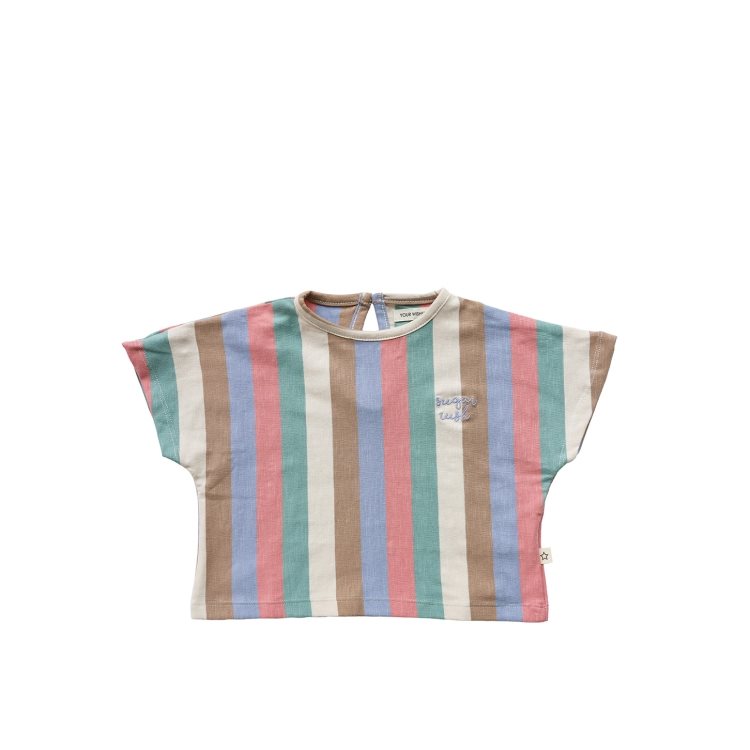 Multi Stripes | Cropped Tee